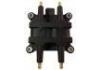 Ignition Coil:22433-AA41A